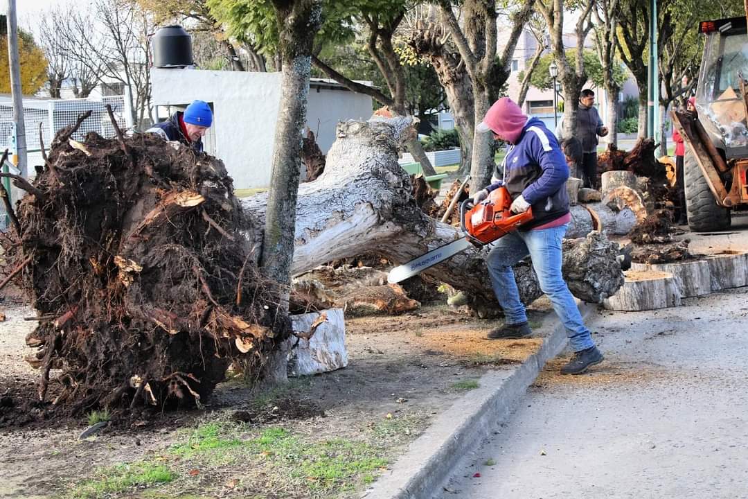 Contin An Los Trabajos En Espacios Verdes De La Ciudad